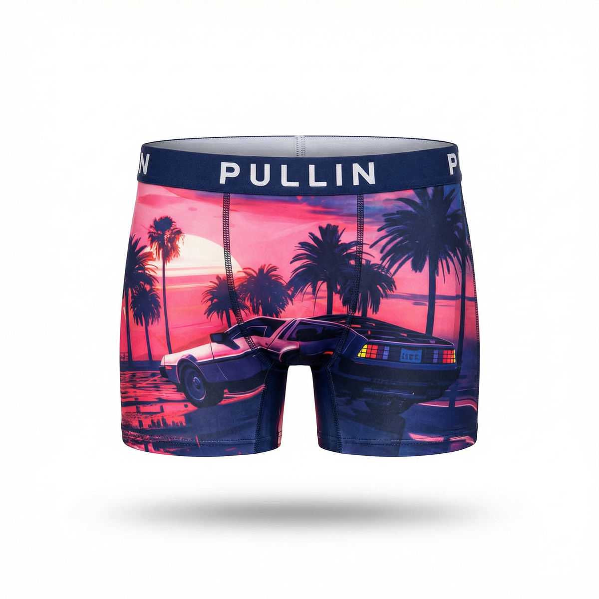 Boxer PULLIN DeLorean