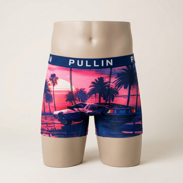 Boxer PULLIN DeLorean - 3
